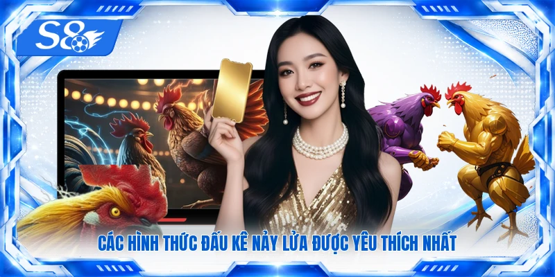 Các hình thức đấu kê nảy lửa được yêu thích nhất