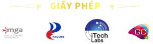 Giấy phép hoạt động s8