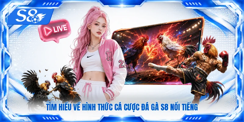 Tìm hiểu về hình thức cá cược đá gà S8 nổi tiếng