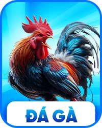 S8 đá gà mạng